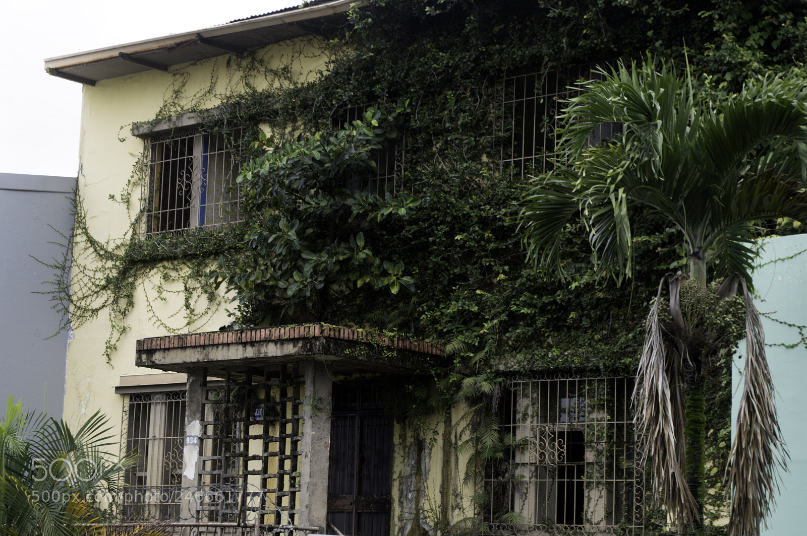 Nikon D3200 sample photo. Copy photography