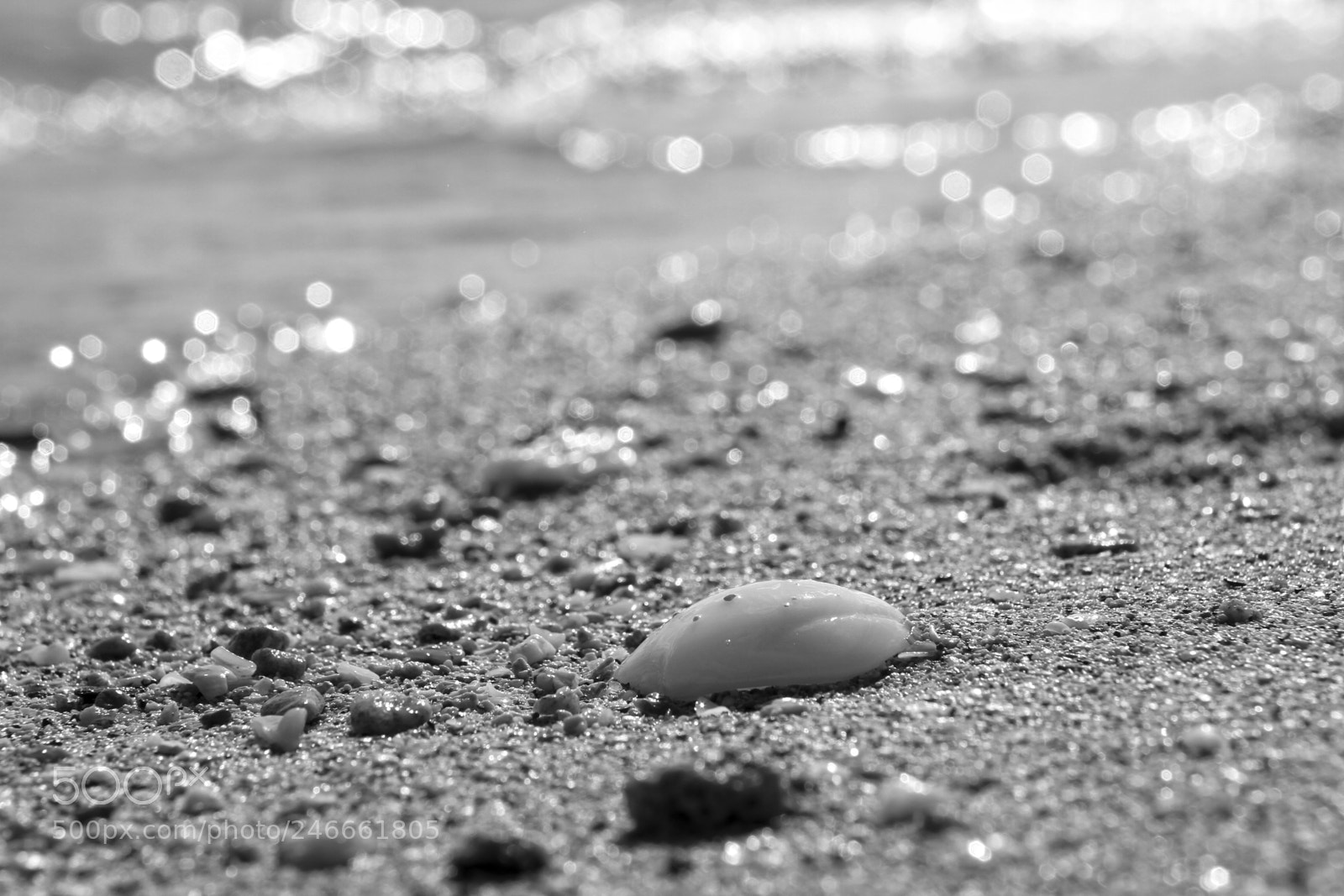 Canon EOS 7D sample photo. Untitled photography