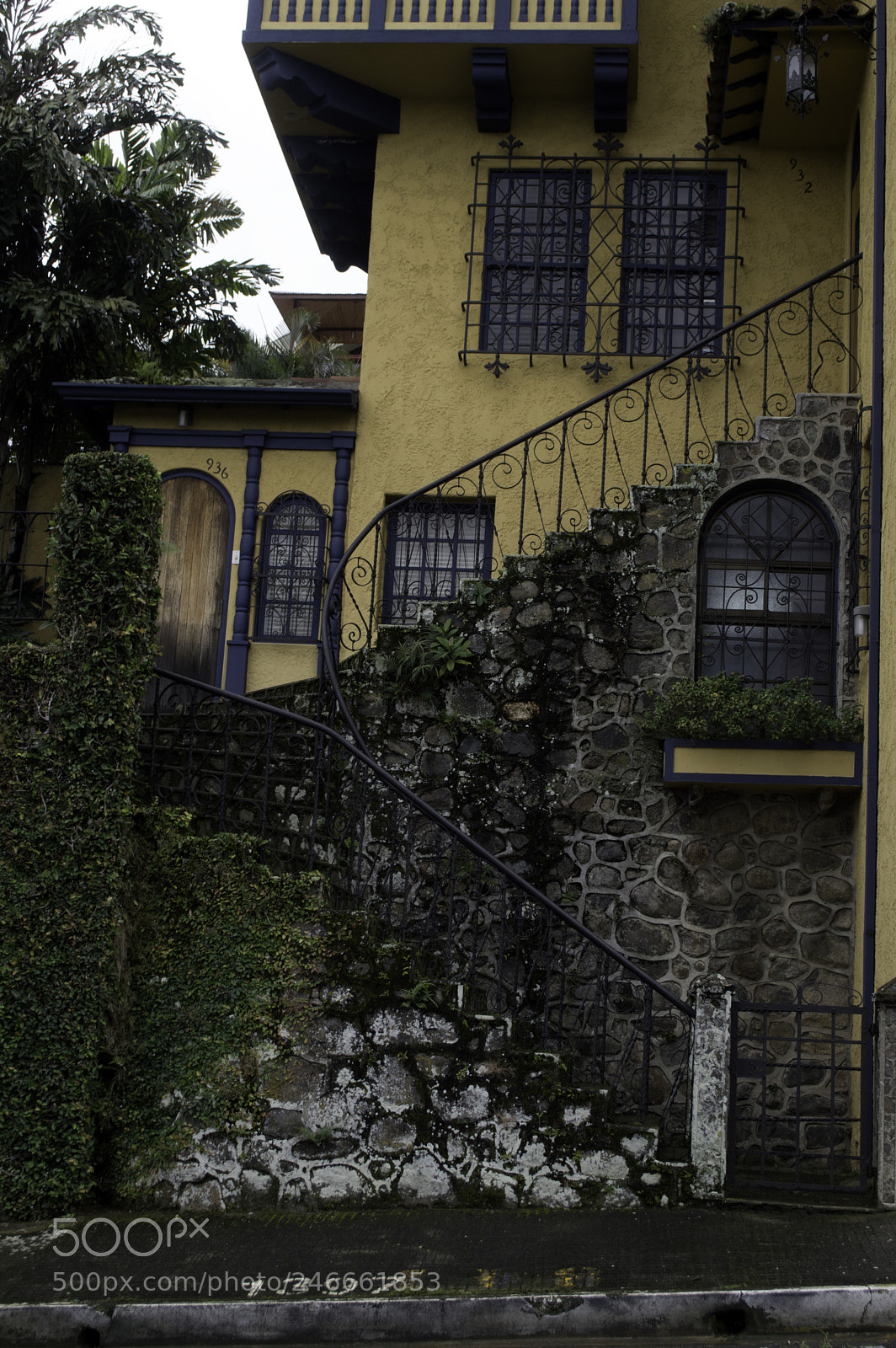 Nikon D3200 sample photo. Copy photography