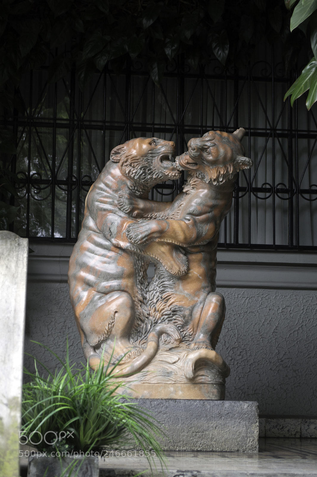 Nikon D3200 sample photo. Copy photography