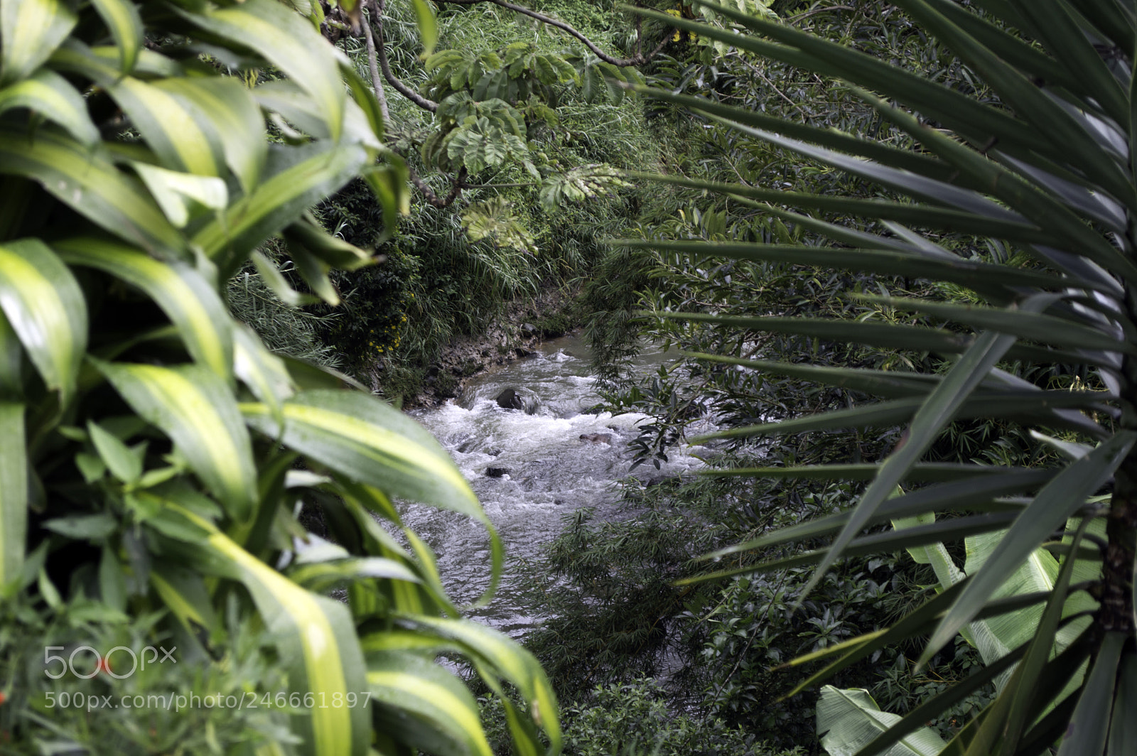 Nikon D3200 sample photo. Copy photography