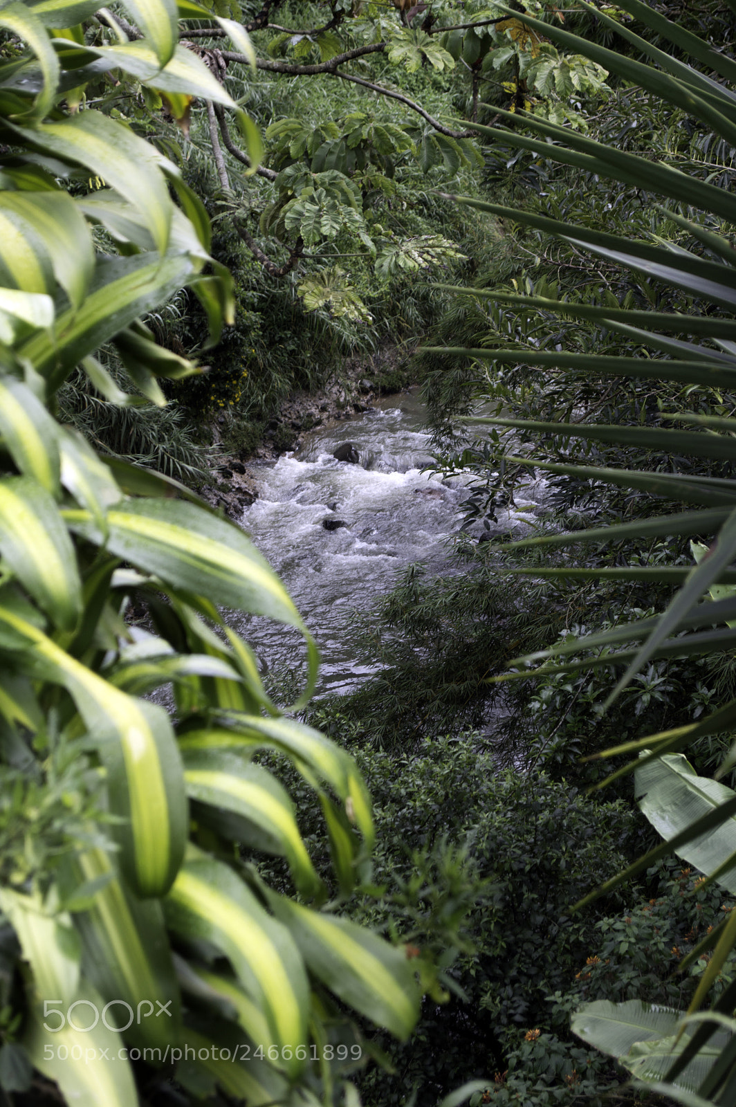 Nikon D3200 sample photo. Copy photography