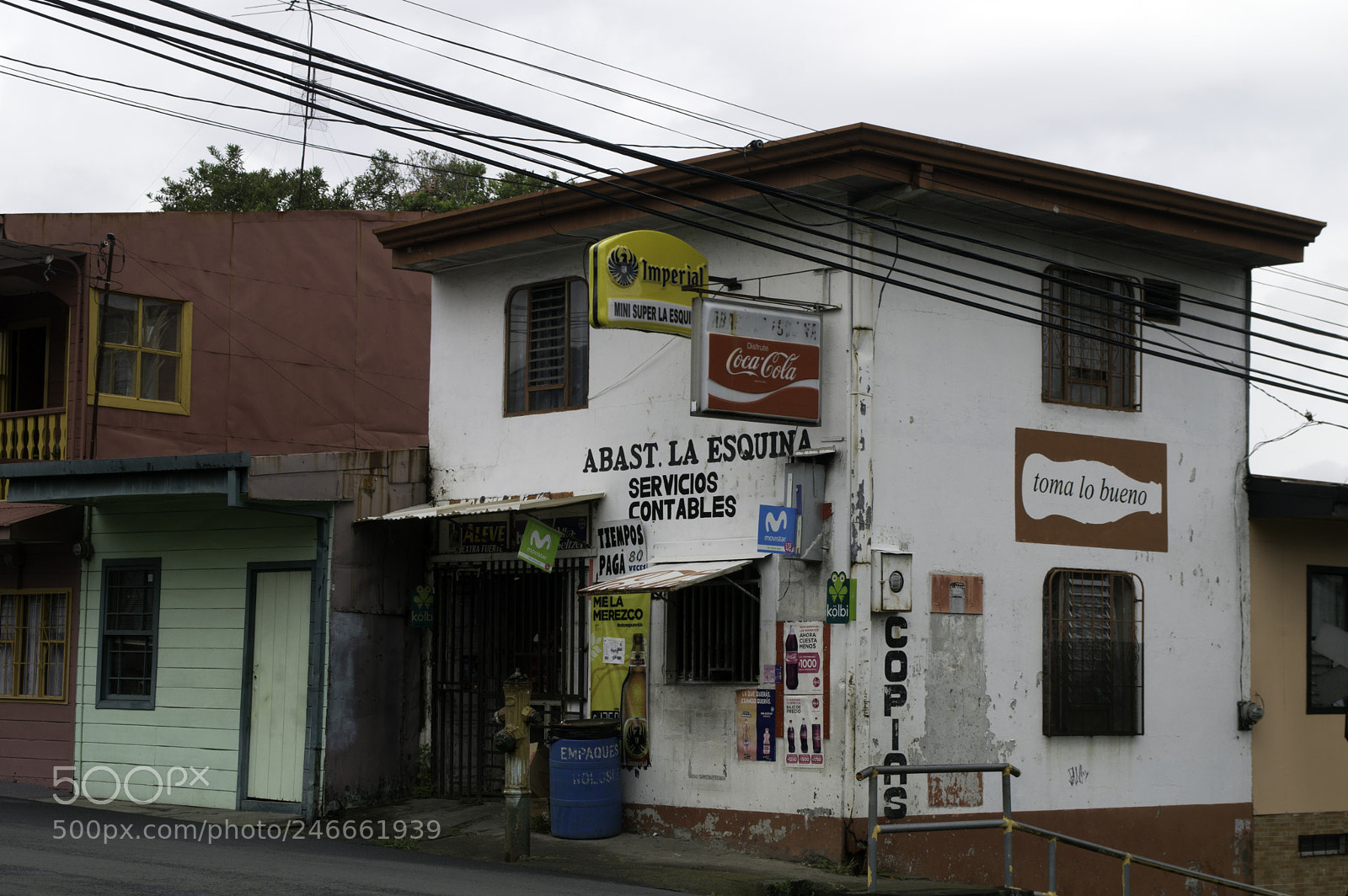 Nikon D3200 sample photo. Copy photography