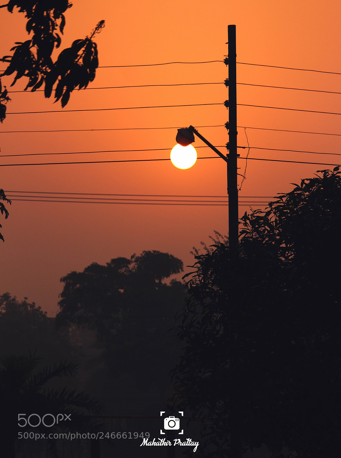 Canon EOS 700D (EOS Rebel T5i / EOS Kiss X7i) sample photo. Natural lamp. photography