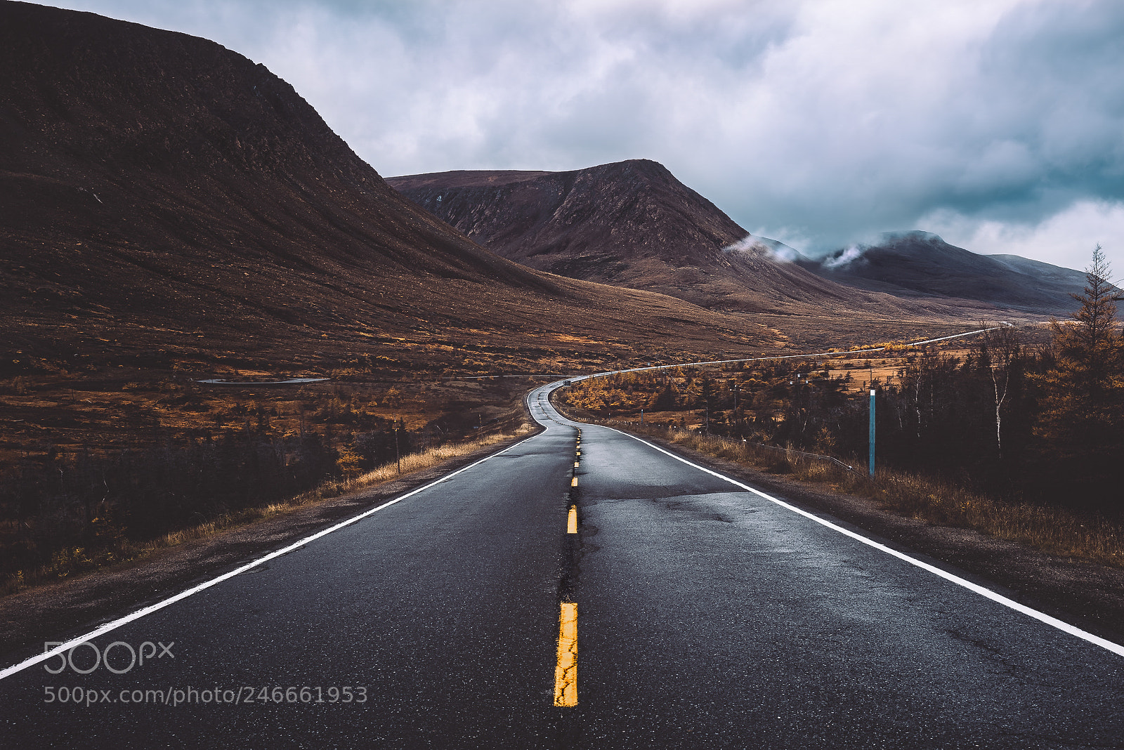 Nikon D810 sample photo. Road to the tablelands photography