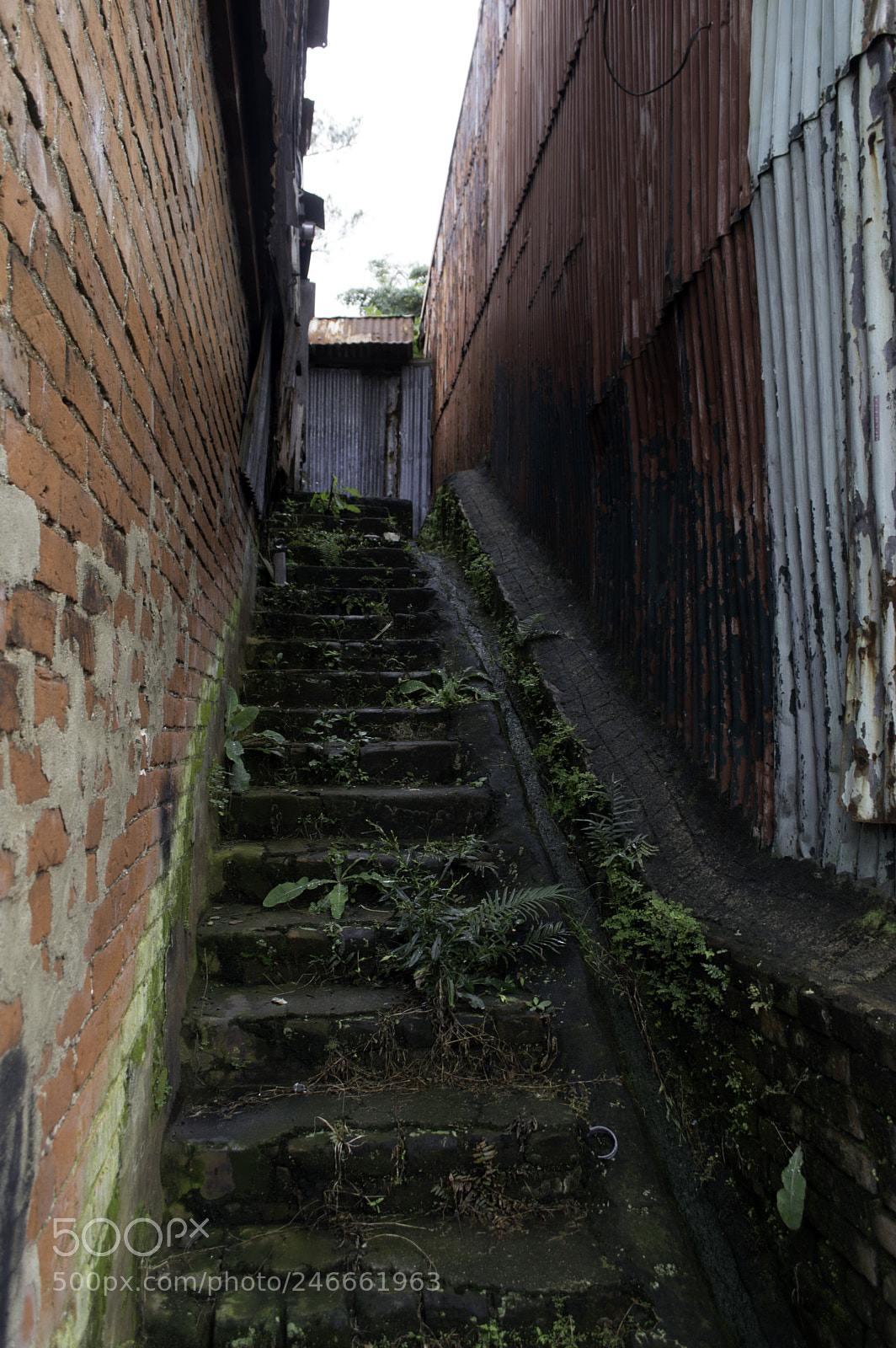 Nikon D3200 sample photo. Copy photography