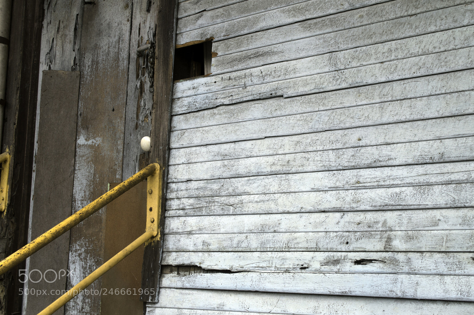 Nikon D3200 sample photo. Copy photography