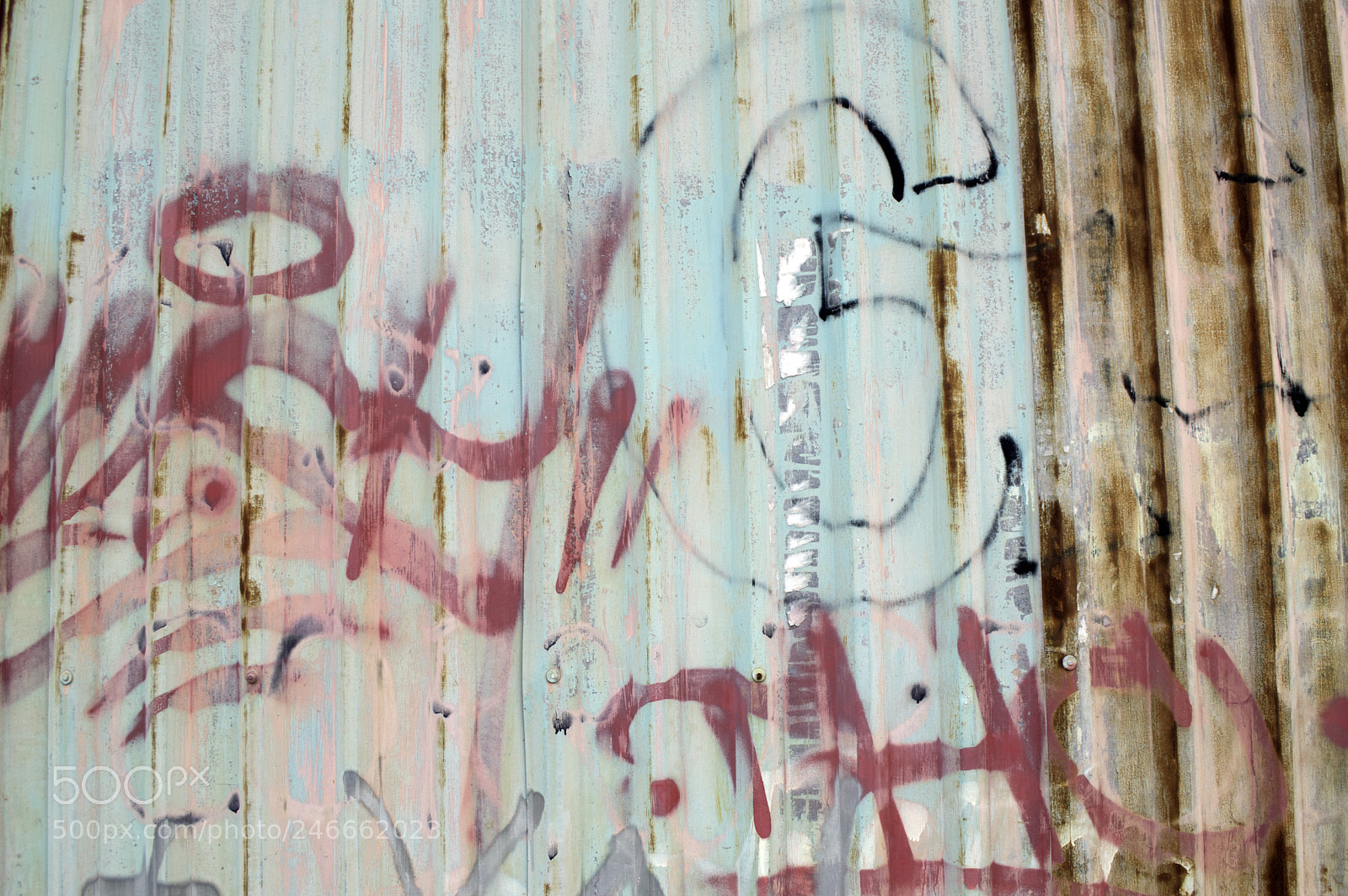 Nikon D3200 sample photo. Copy photography
