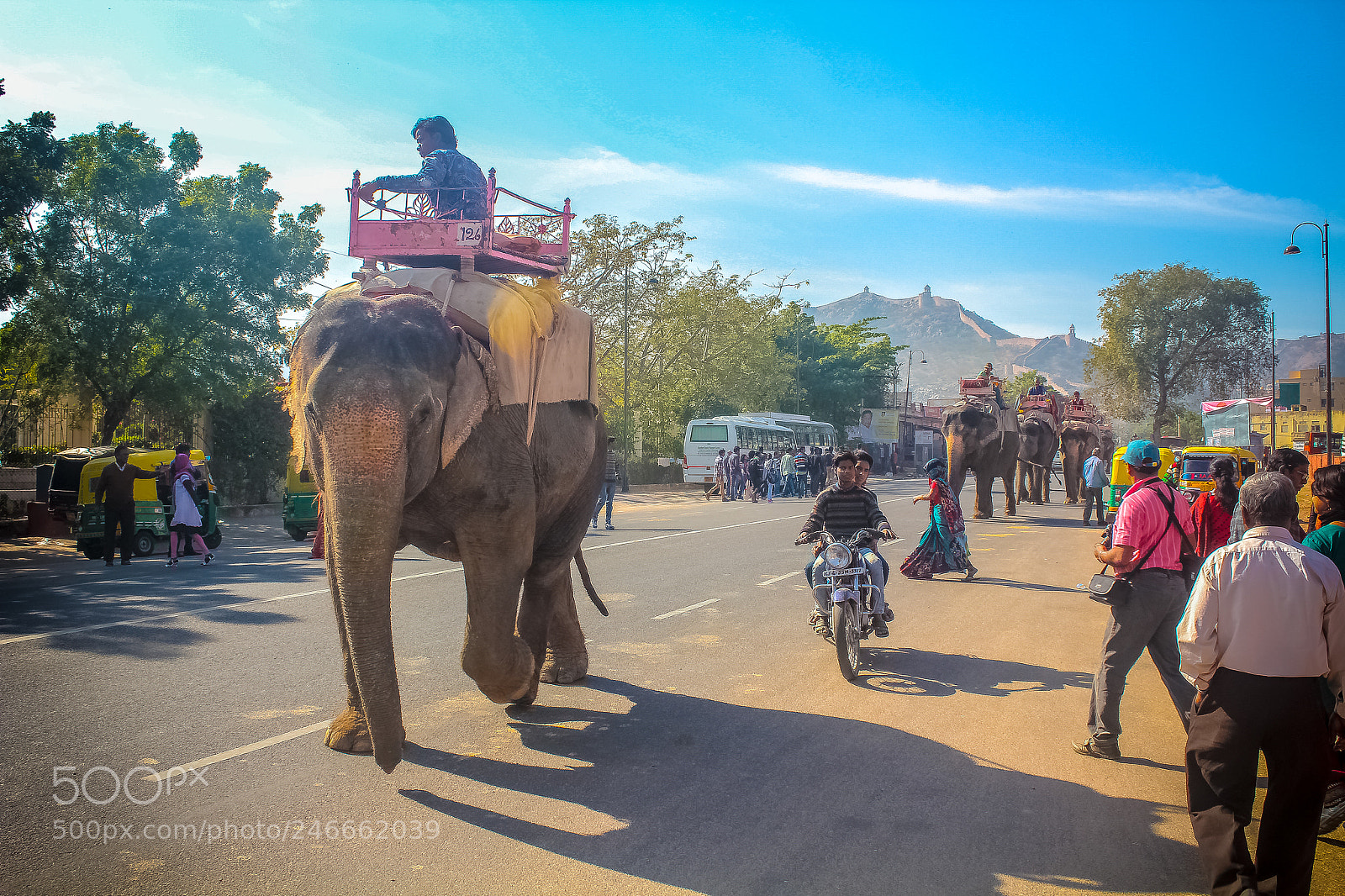Canon EOS 550D (EOS Rebel T2i / EOS Kiss X4) sample photo. Street of rajasthan img photography
