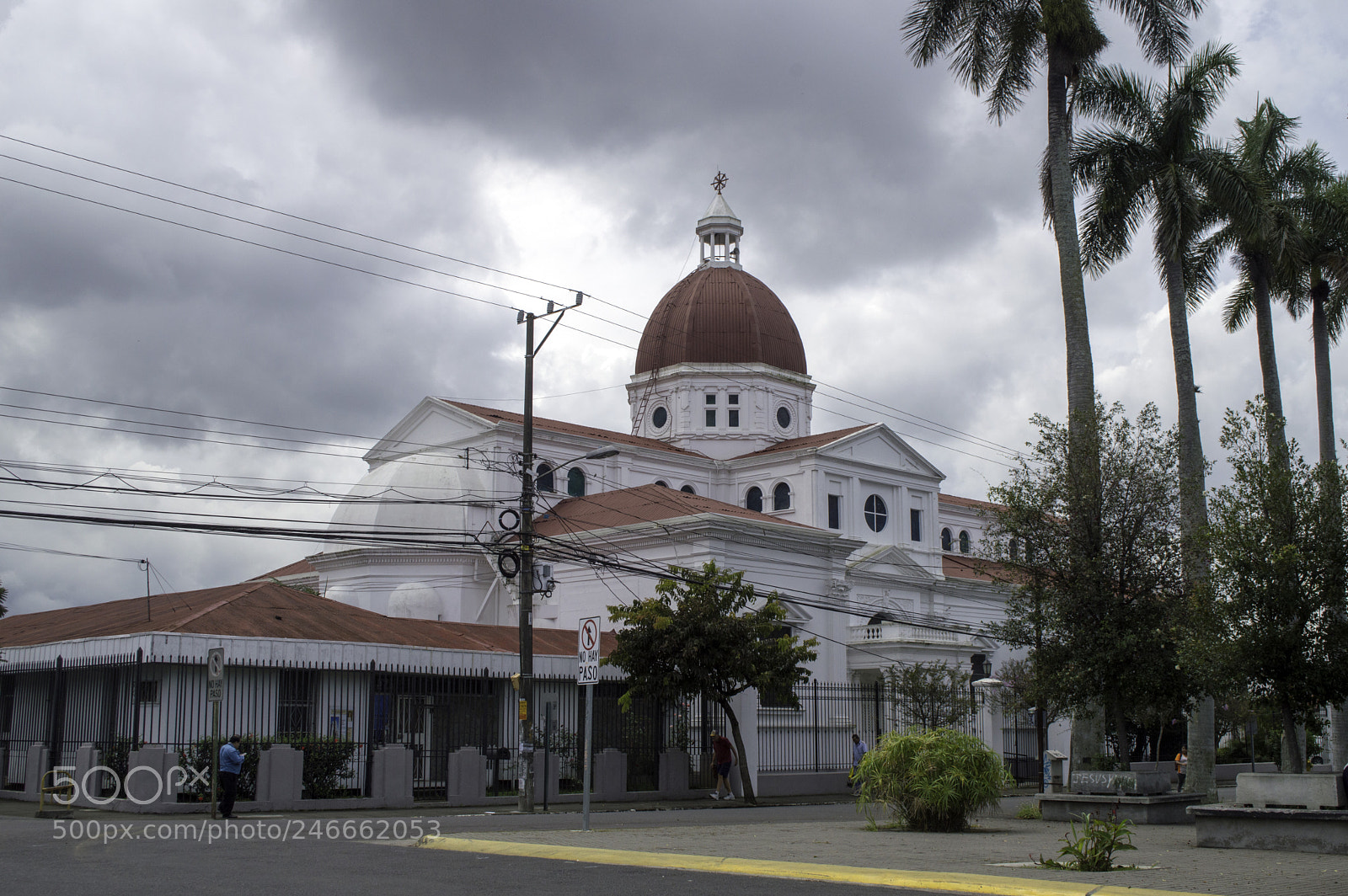 Nikon D3200 sample photo. Copy photography