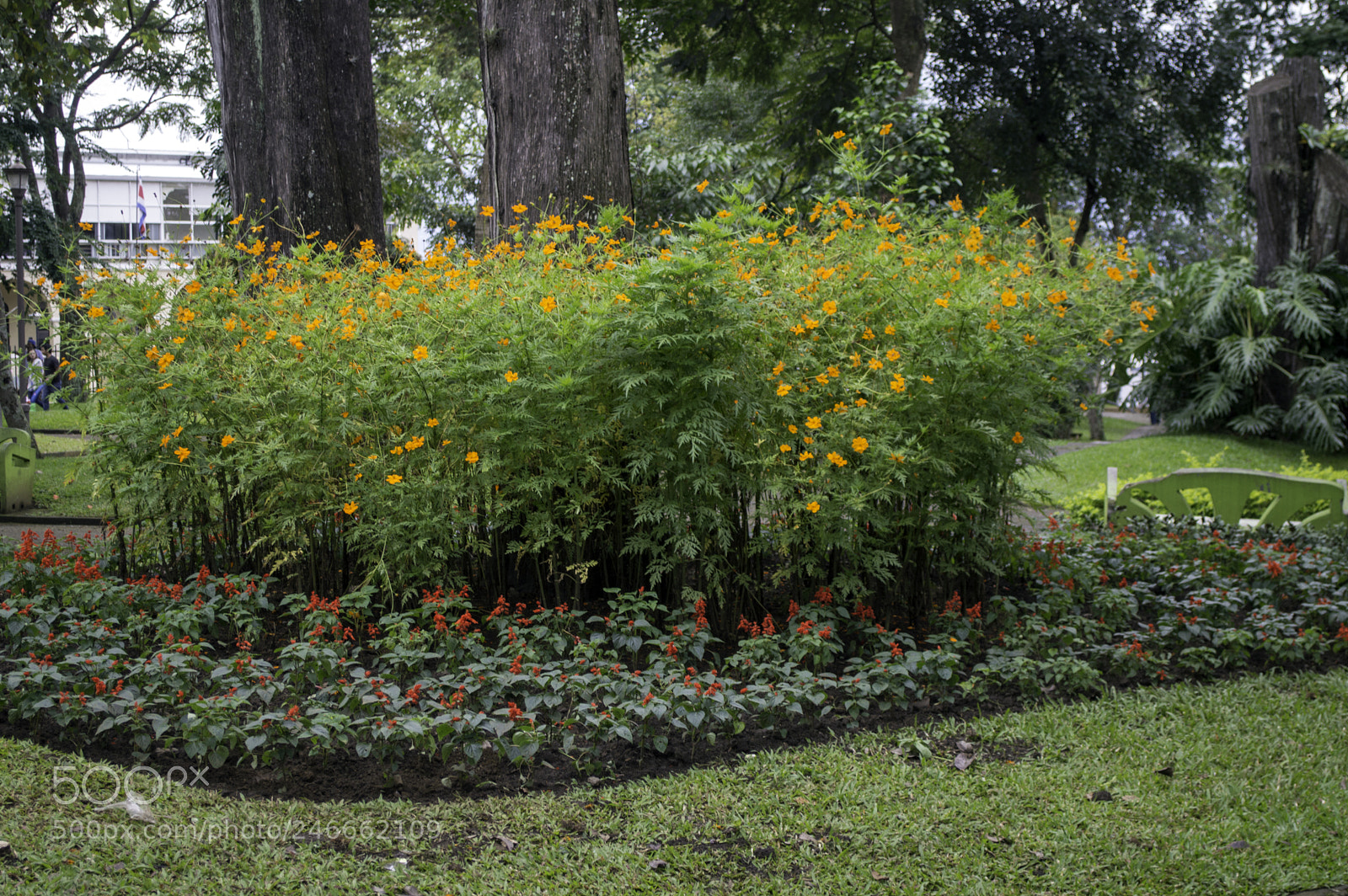 Nikon D3200 sample photo. Copy photography
