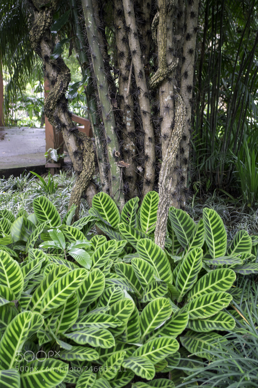 Nikon D3200 sample photo. Copy photography