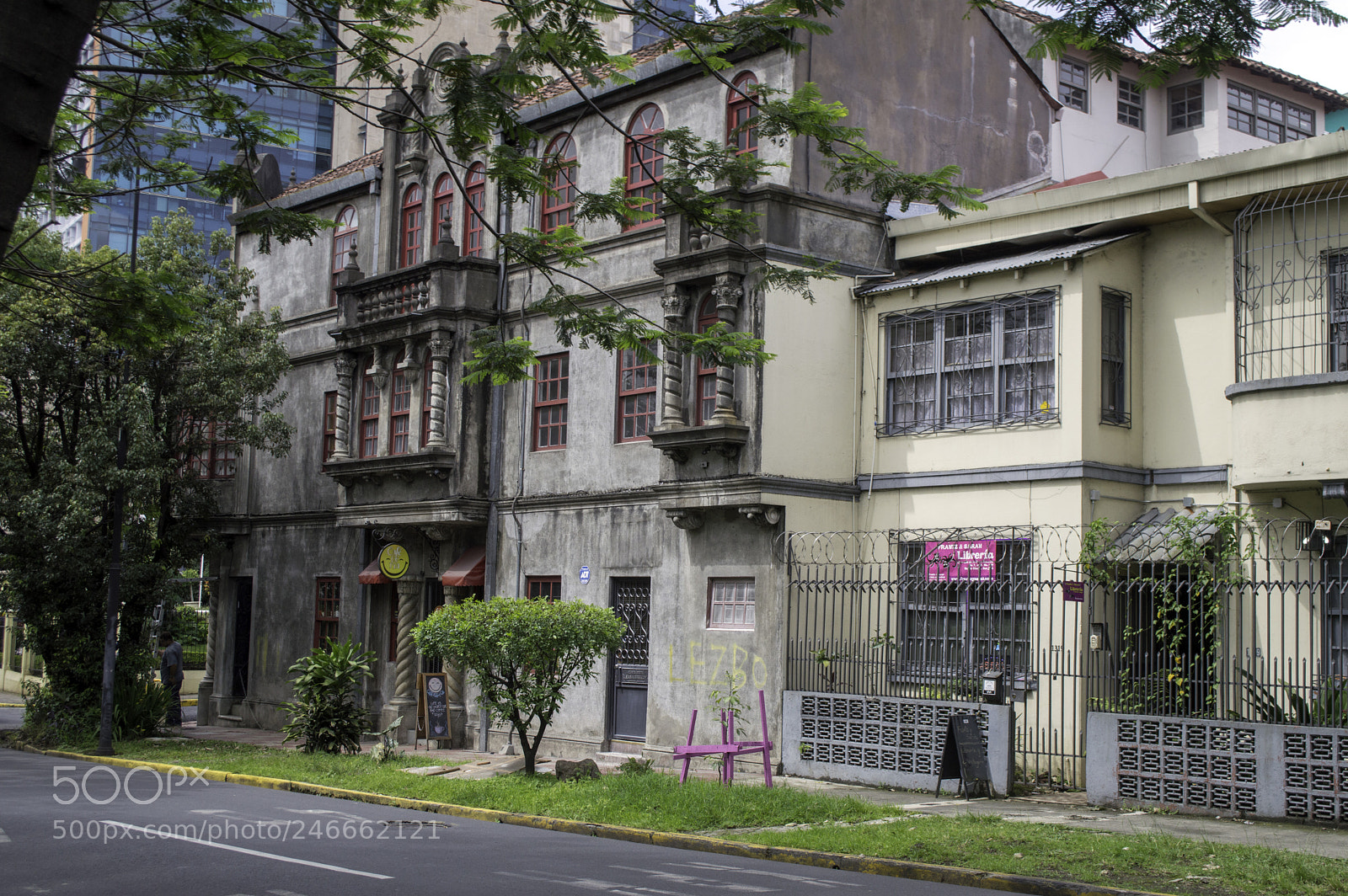 Nikon D3200 sample photo. Copy photography