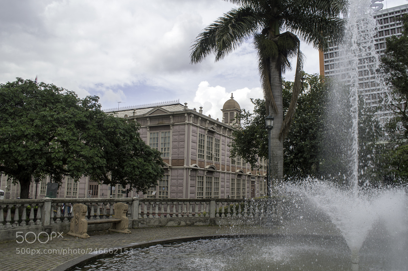 Nikon D3200 sample photo. Copy photography