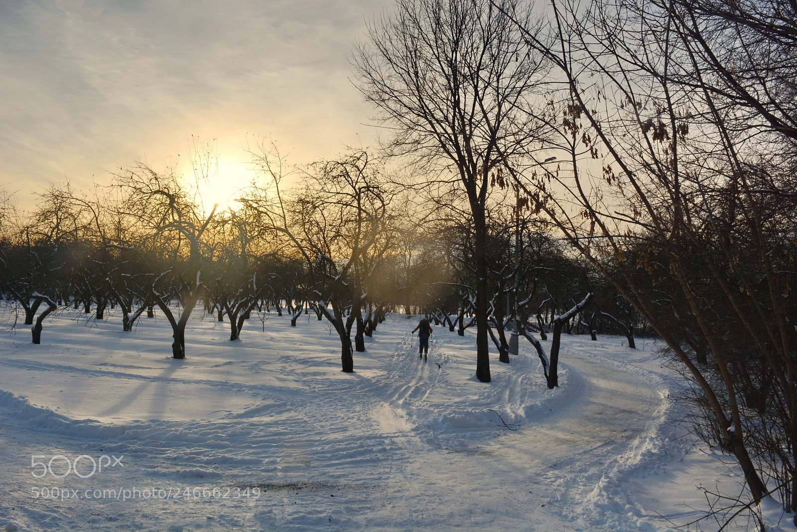 Nikon D5200 sample photo. Winter, sunset photography