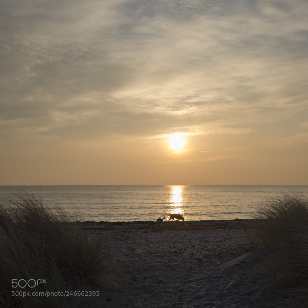 Fujifilm X100S sample photo. Winter sunrise photography