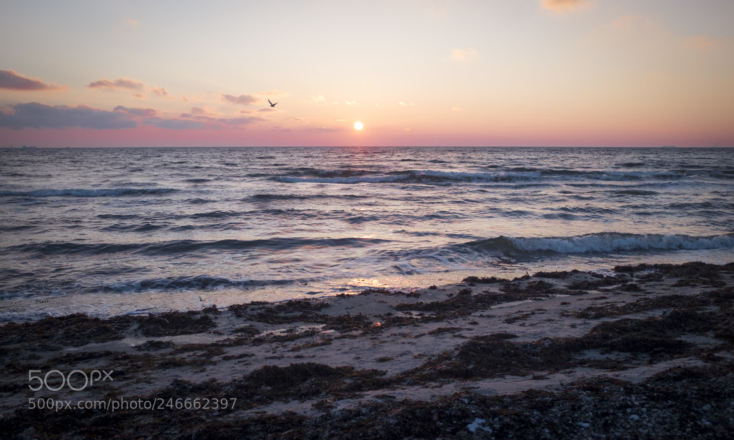 Fujifilm X100S sample photo. Winter sunrise photography