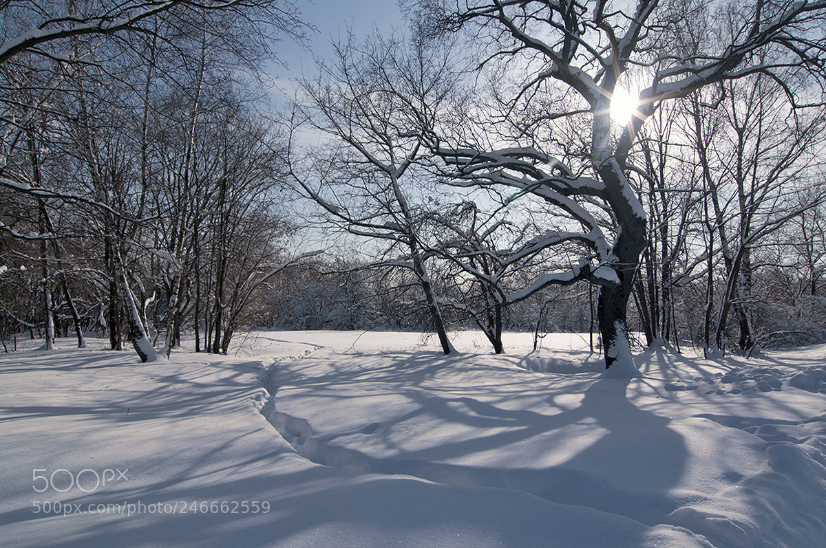 Pentax K-7 sample photo. Shadows of winter. photography