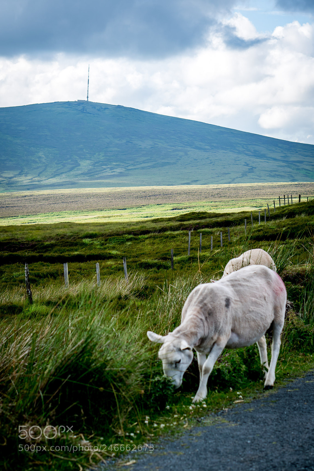 Sony a6300 sample photo. Ireland photography