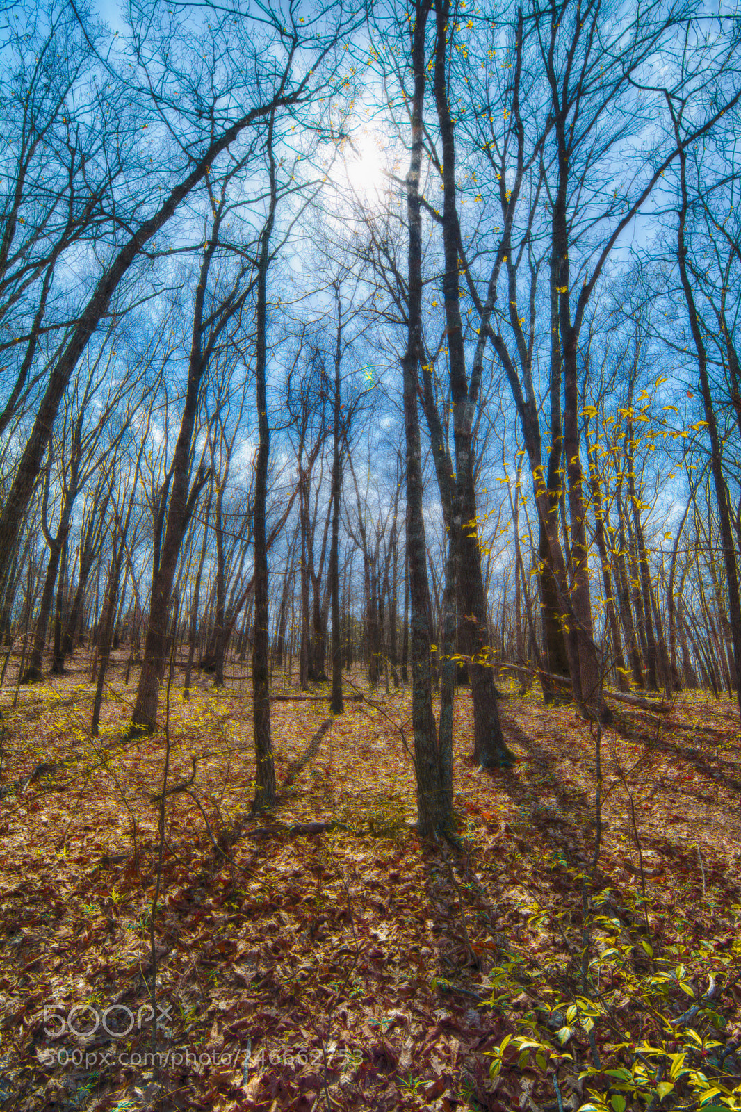 Nikon D7100 sample photo. 2684 photography