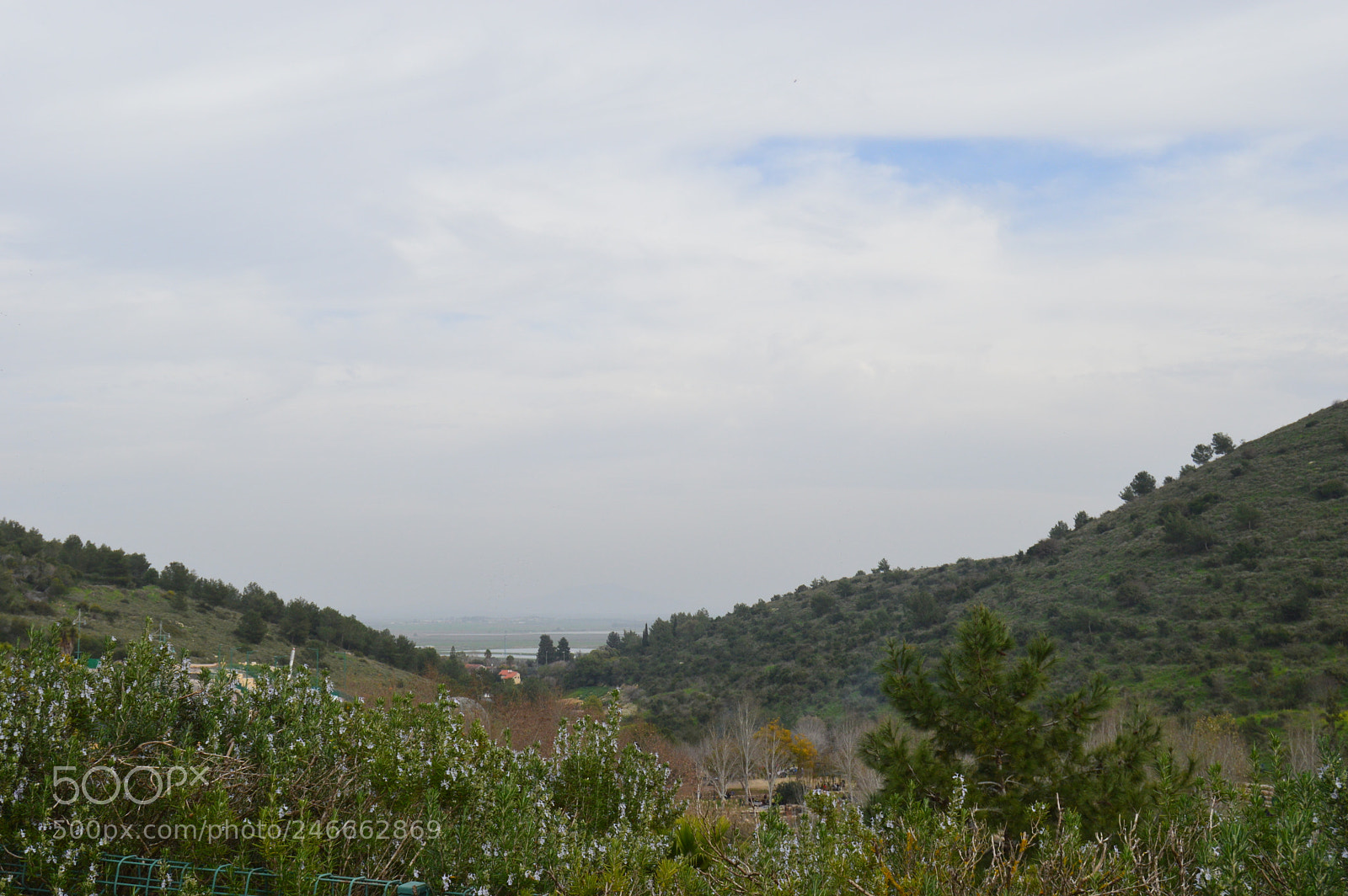 Nikon D3200 sample photo. Dsc photography