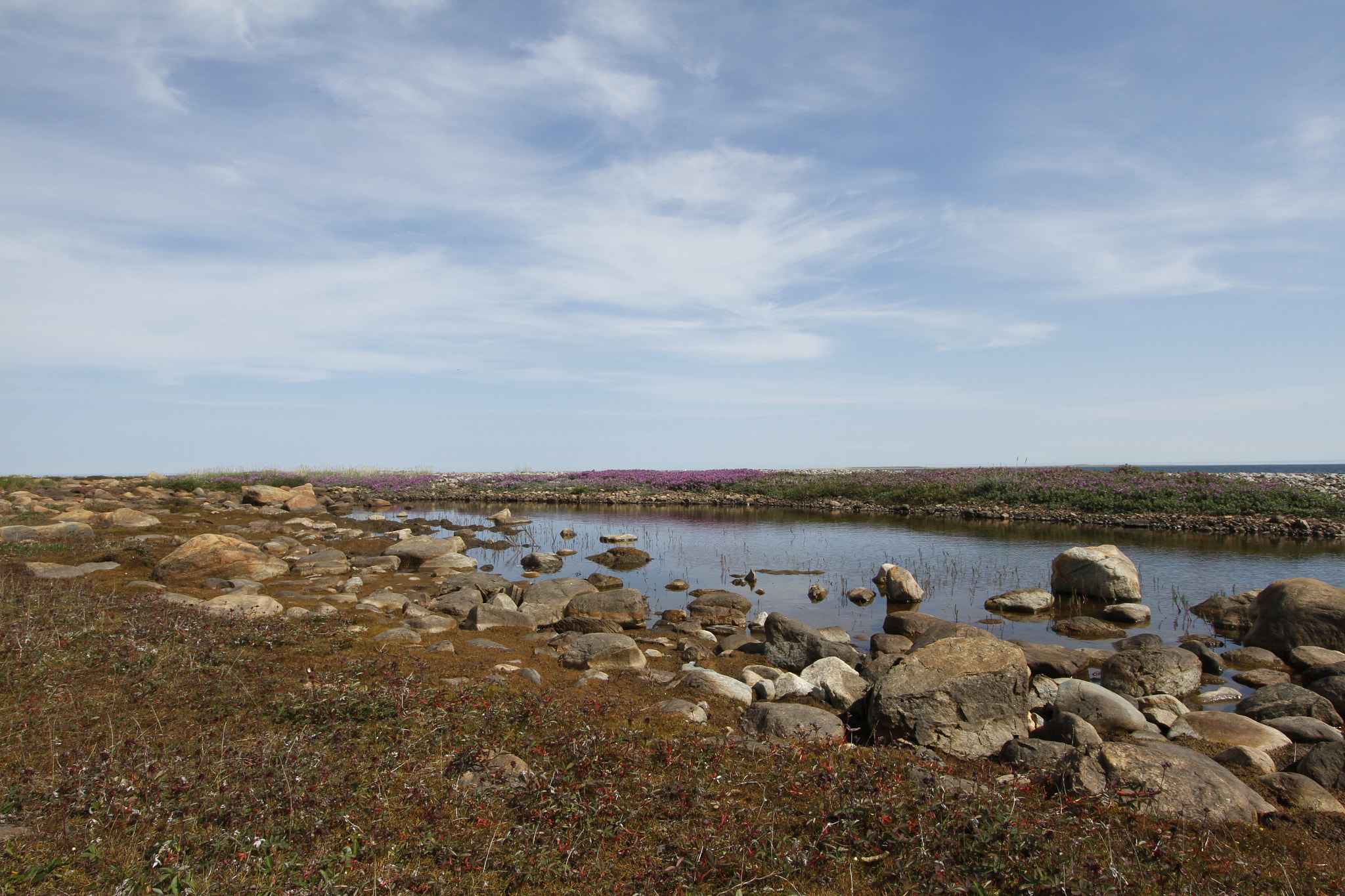 Canon EF-S 10-22mm F3.5-4.5 USM sample photo. Beautiful arctic landscape in summer colours with blue skies and soft clouds photography