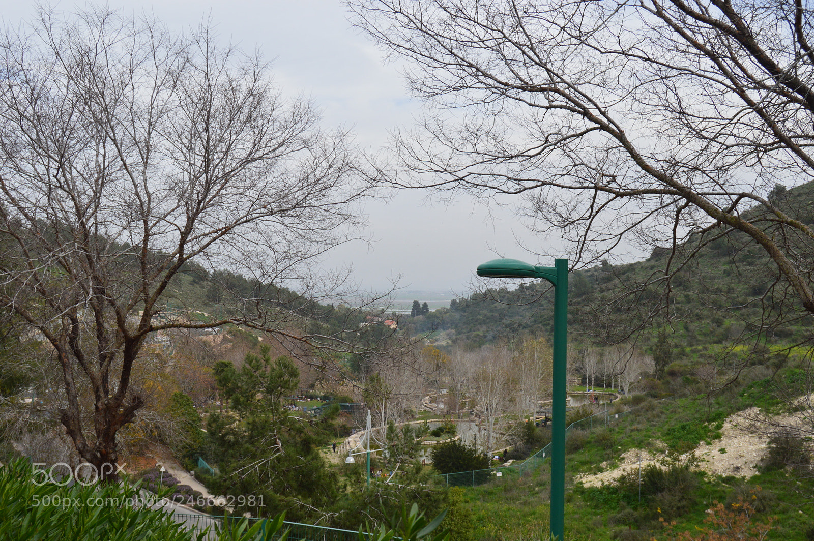 Nikon D3200 sample photo. Dsc photography