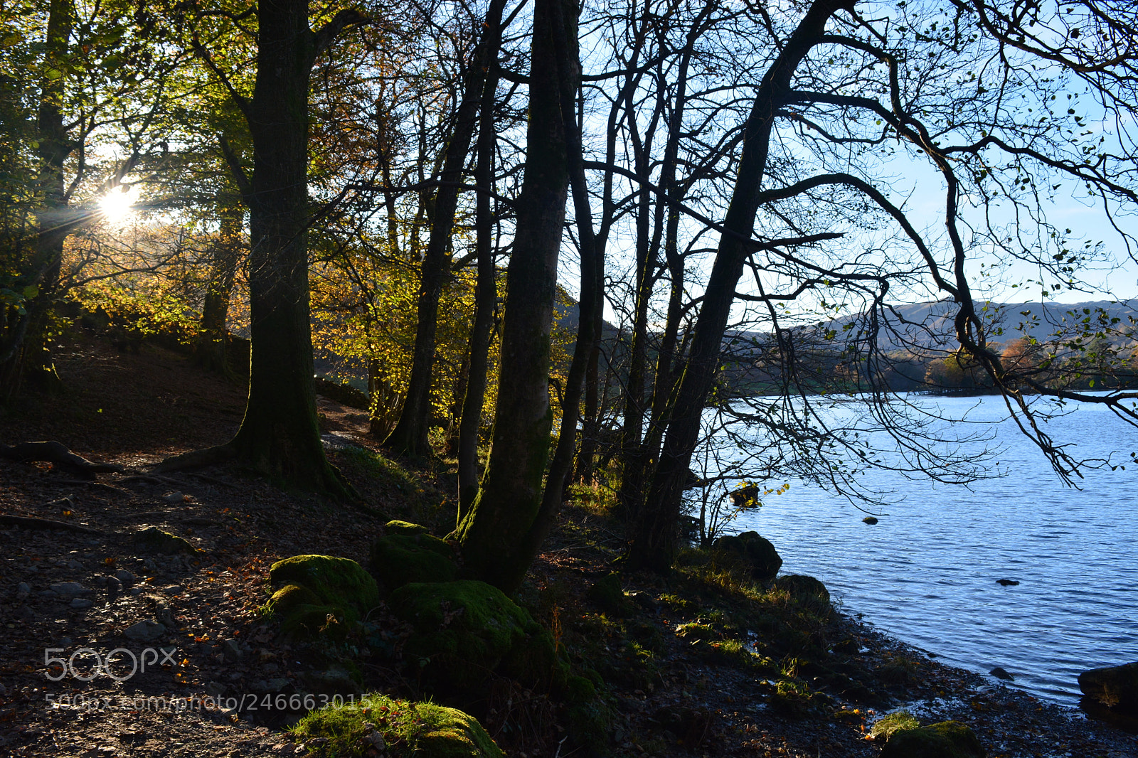 Nikon D5200 sample photo. Rydal water - lake photography