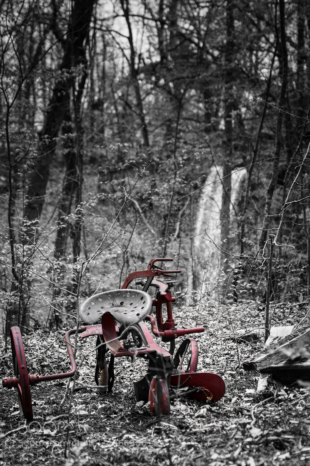 Nikon D7100 sample photo. 2838 photography