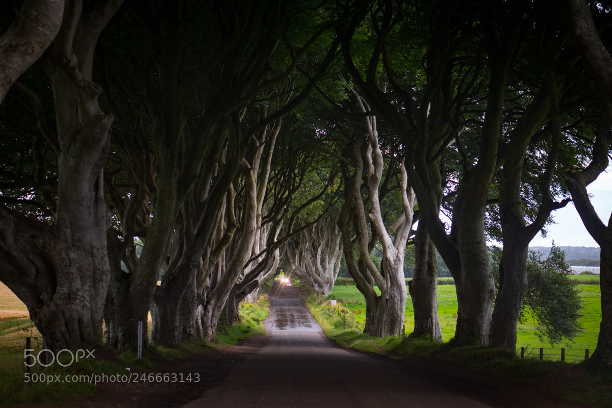 Sony a6300 sample photo. Northern ireland photography