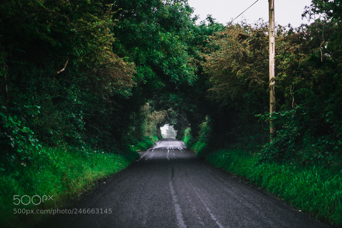 Sony a6300 sample photo. Northern ireland photography