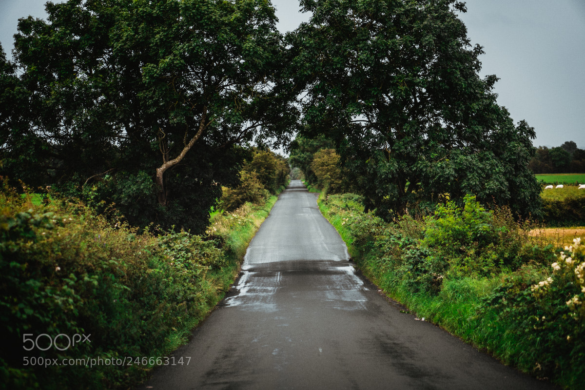 Sony a6300 sample photo. Northern ireland photography