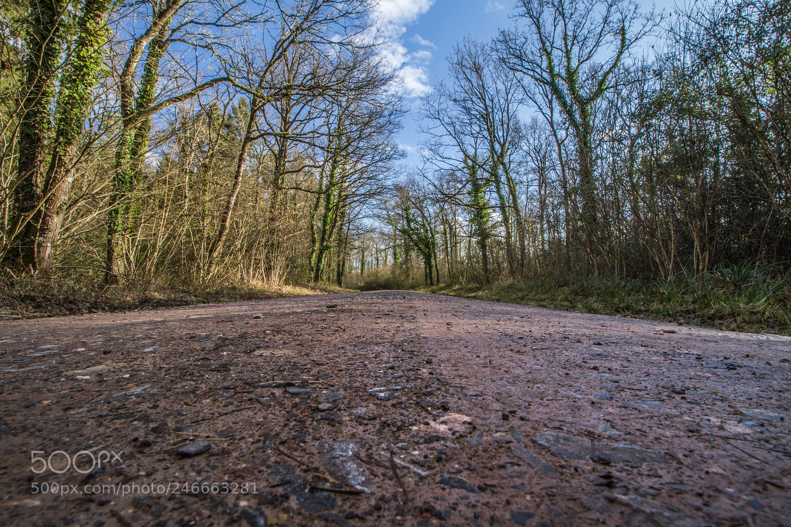 Canon EOS 7D Mark II sample photo. Untitled photography