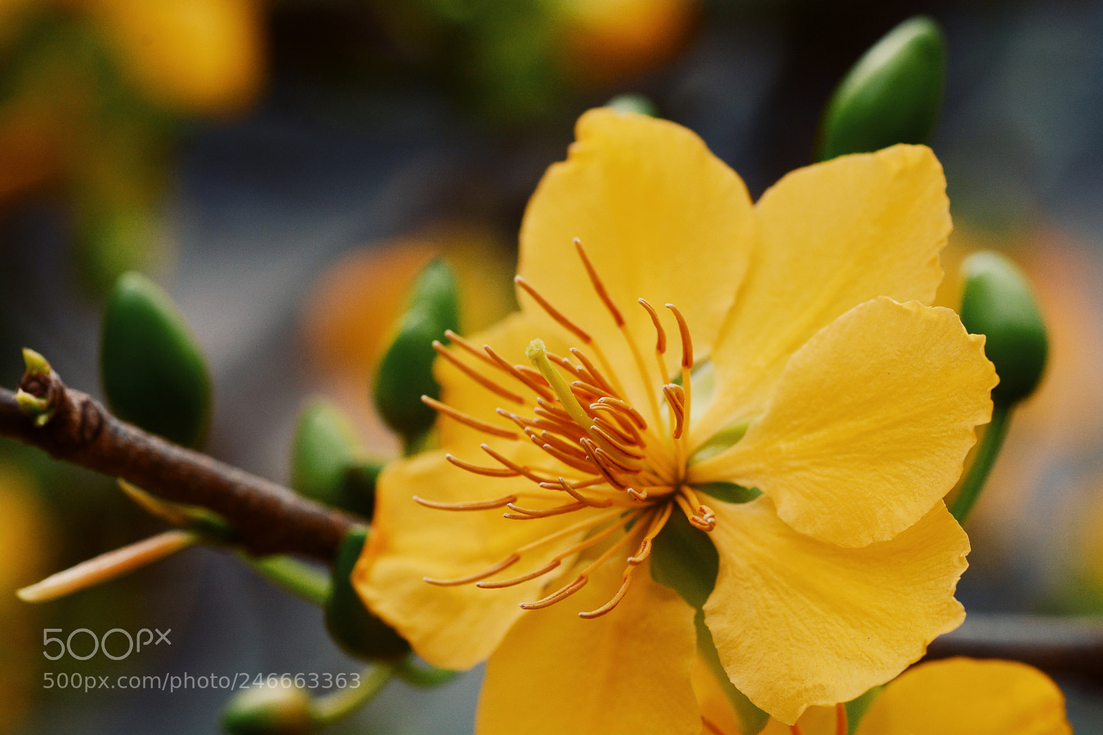 Nikon D7100 sample photo. Untitled photography