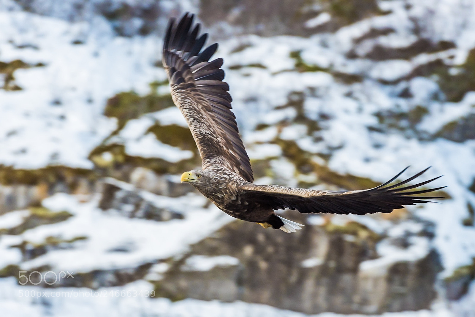 Nikon D810 sample photo. Untitled photography