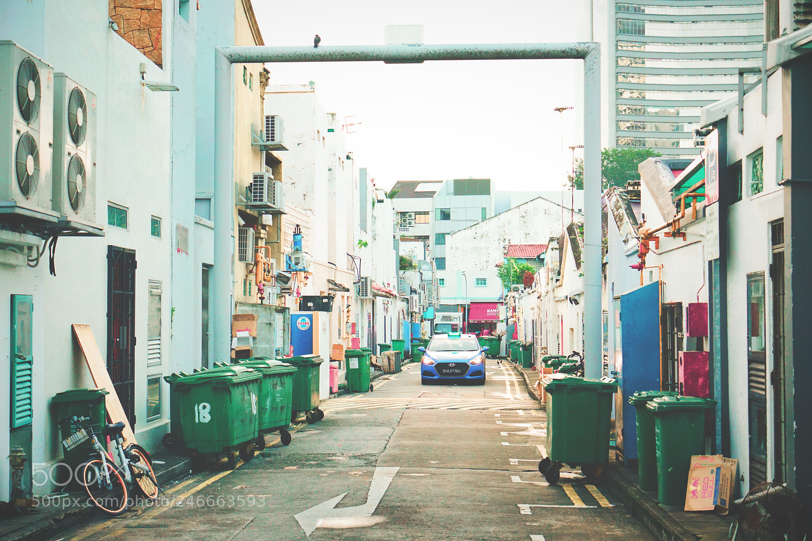 Sony a7R II sample photo. Birds & sg photography
