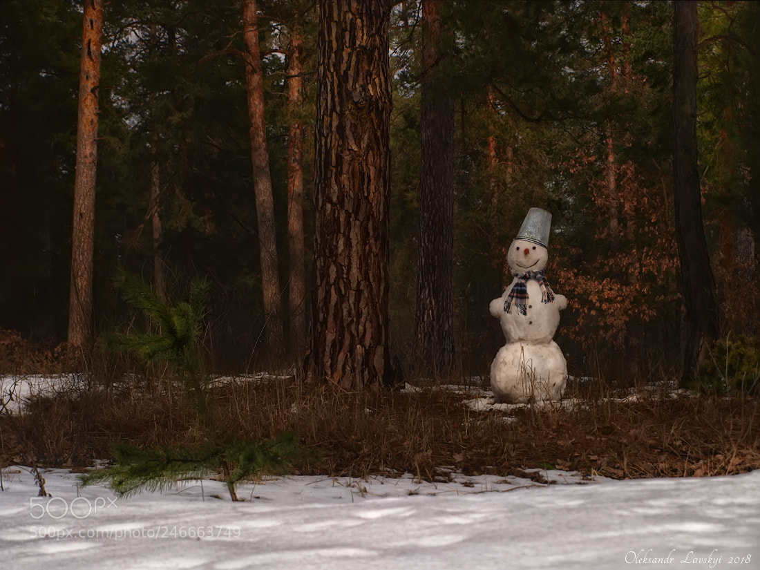 Olympus E-3 sample photo. Snowman photography