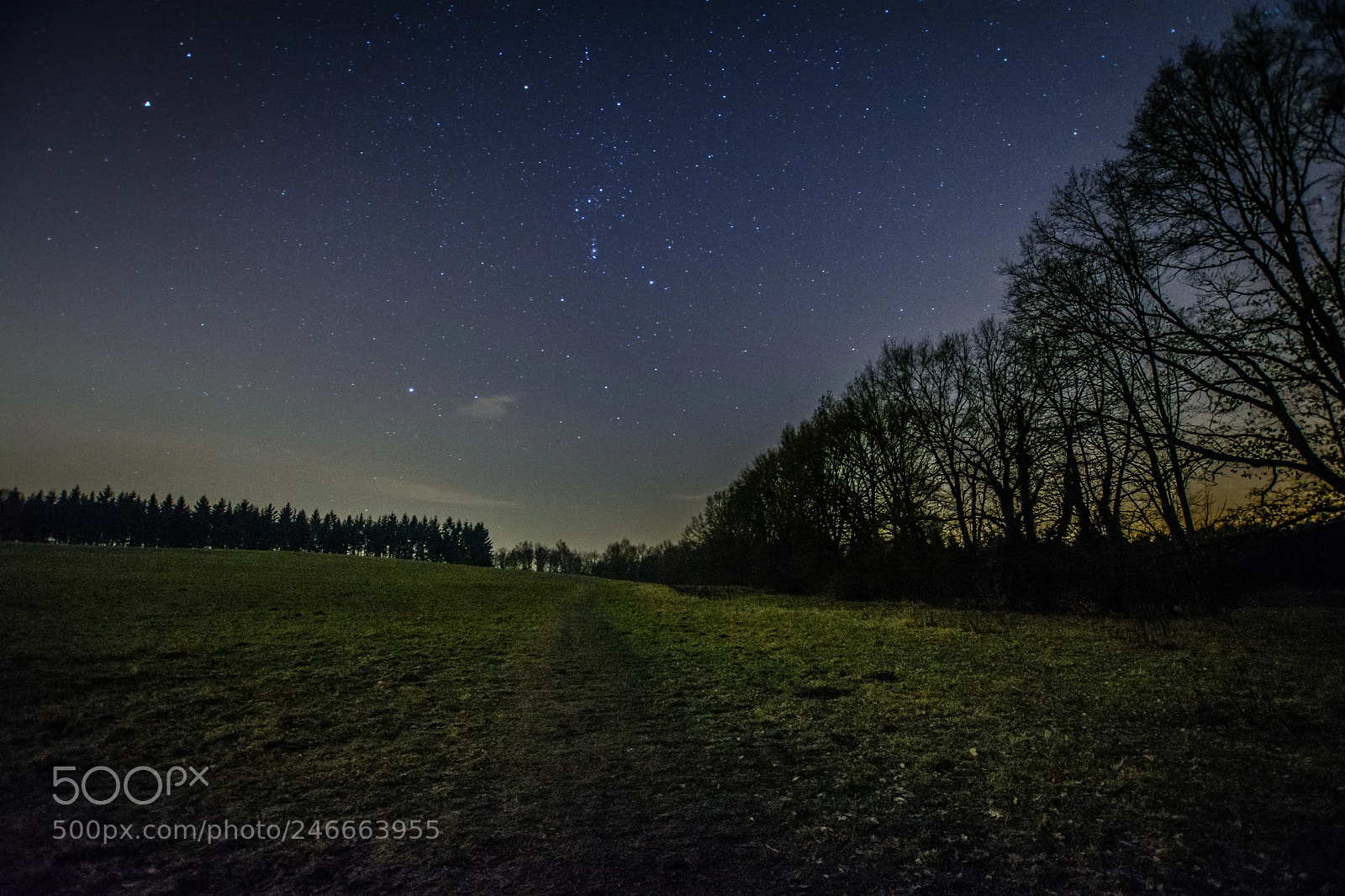 Nikon D5200 sample photo. Sterne am klaren nachthimmel photography