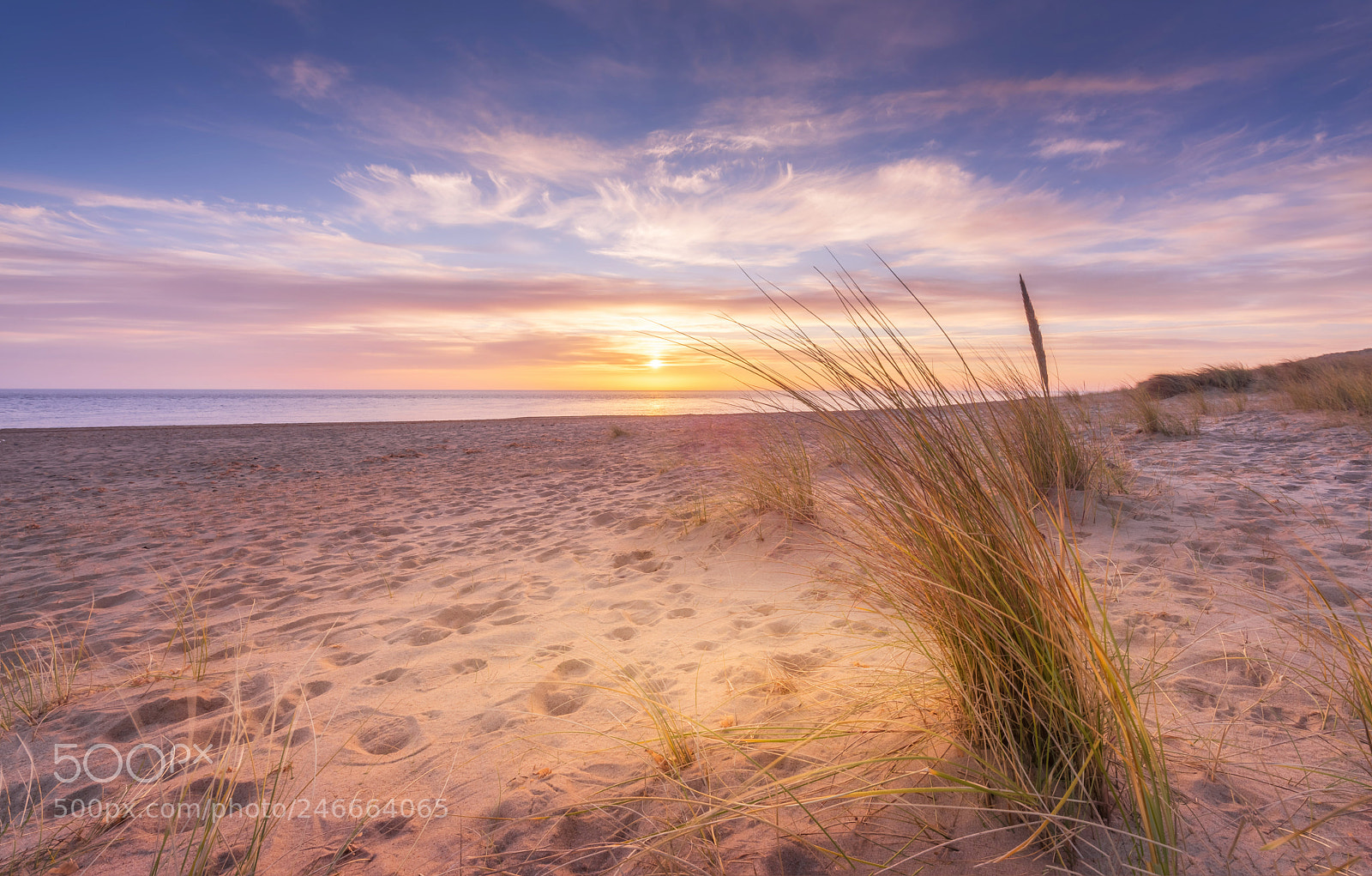 Nikon D810 sample photo. Sunrise over winterton on photography