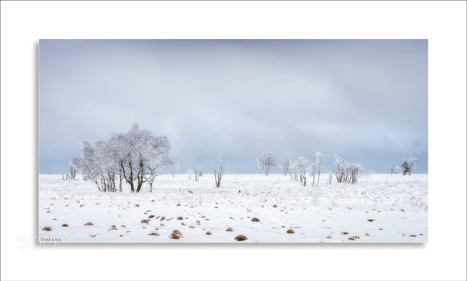 Nikon D750 sample photo. High fens -  winterscape photography