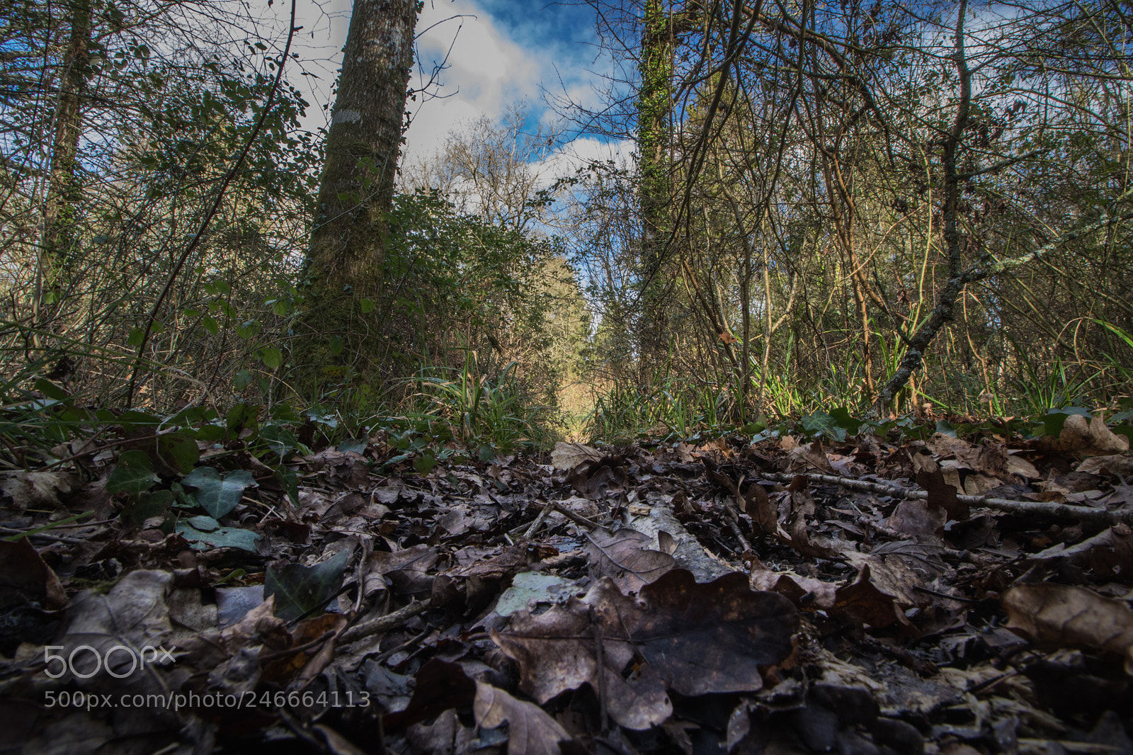 Canon EOS 7D Mark II sample photo. Untitled photography