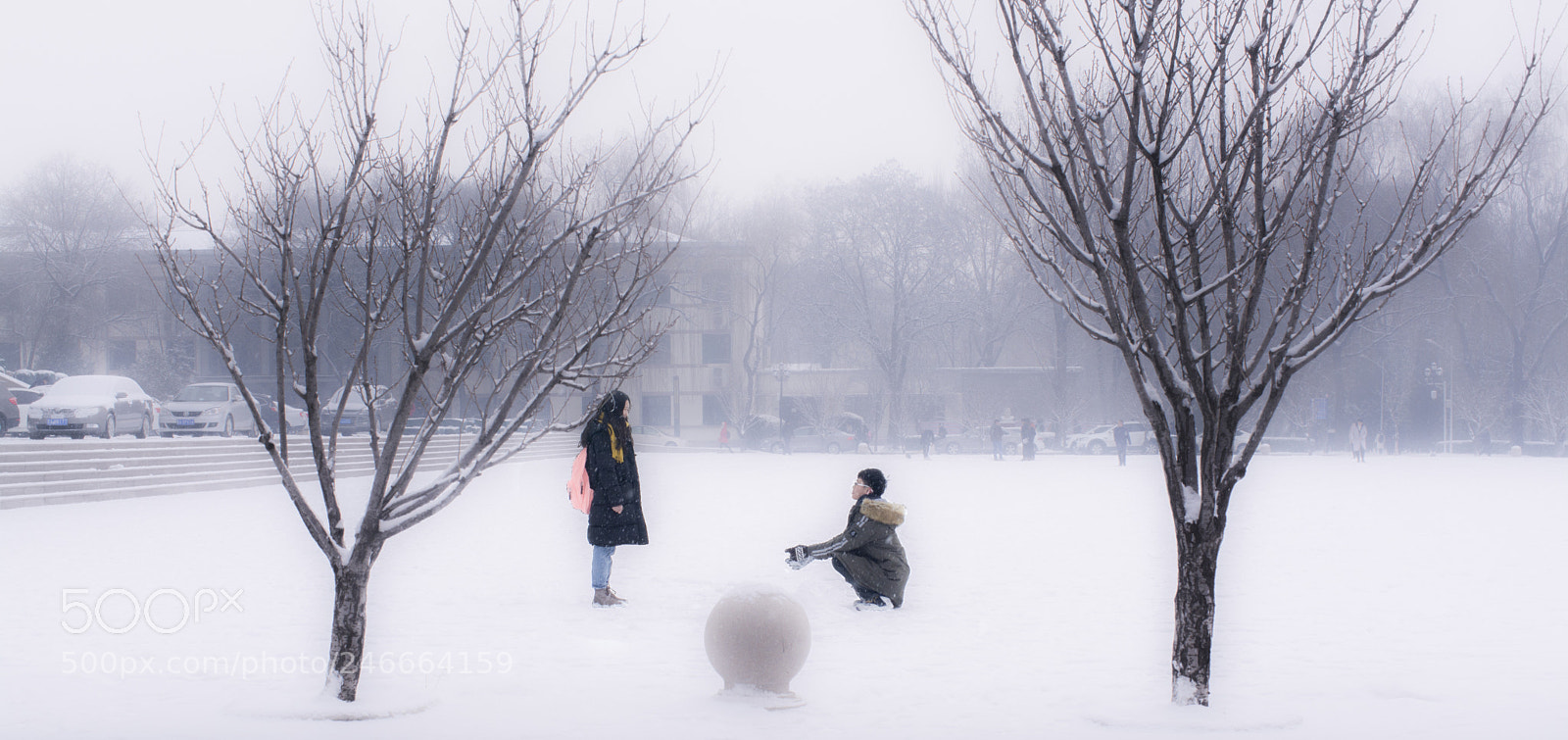 Nikon D7100 sample photo. Untitled photography
