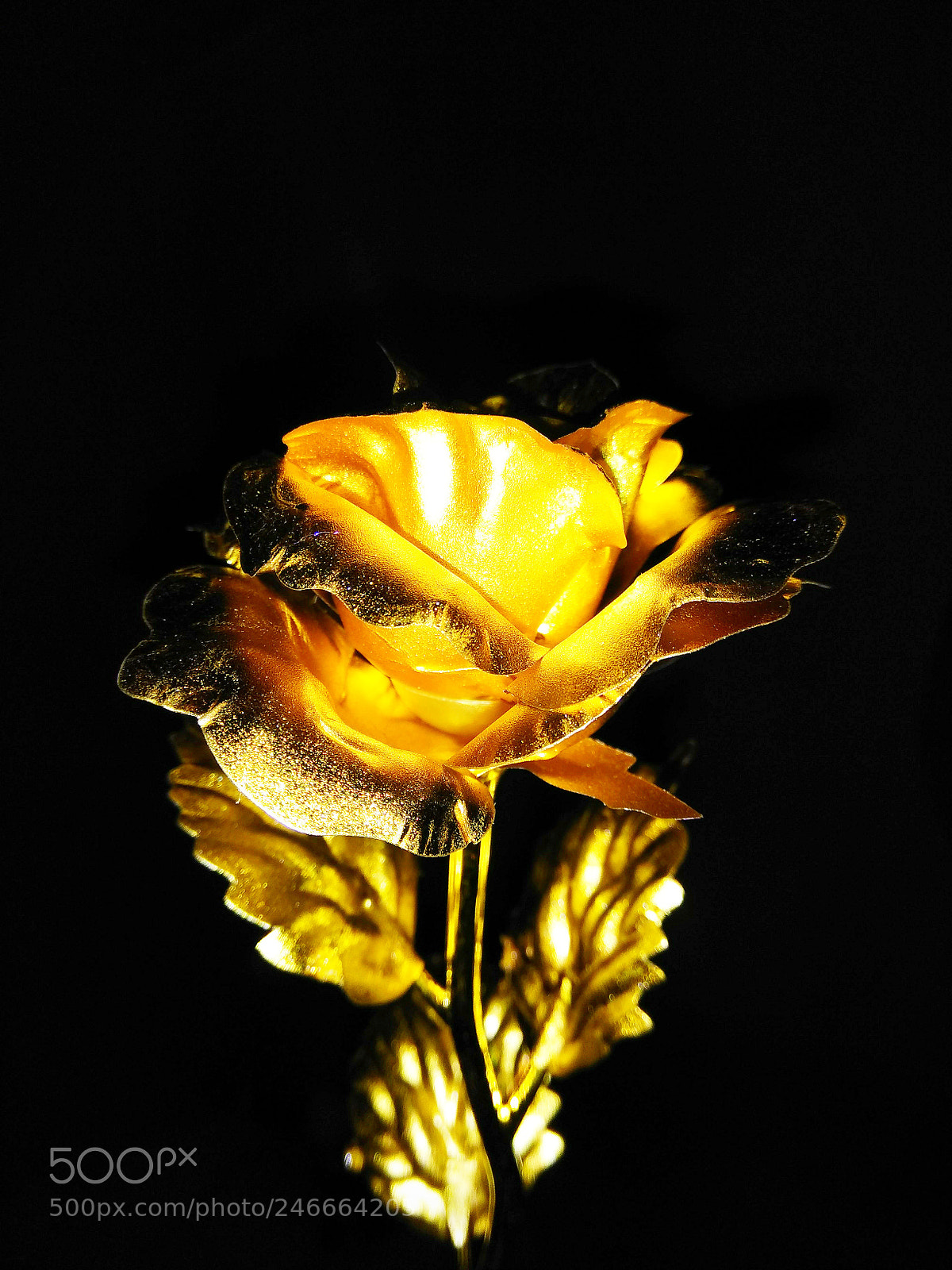 Xiaomi Redmi Note 4 sample photo. Untitled photography