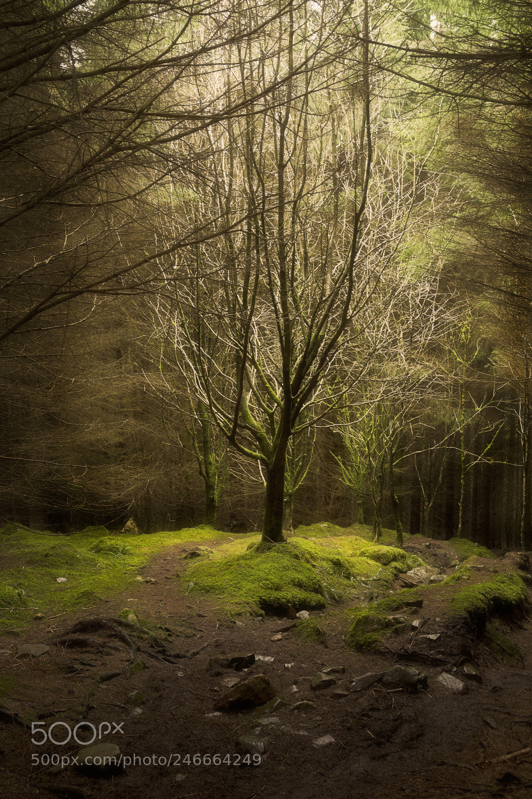Nikon D7100 sample photo. A peaceful place photography