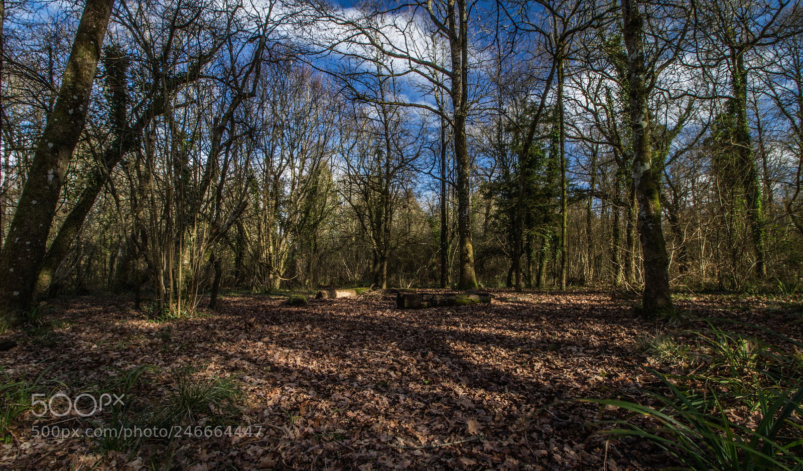 Canon EOS 7D Mark II sample photo. Untitled photography