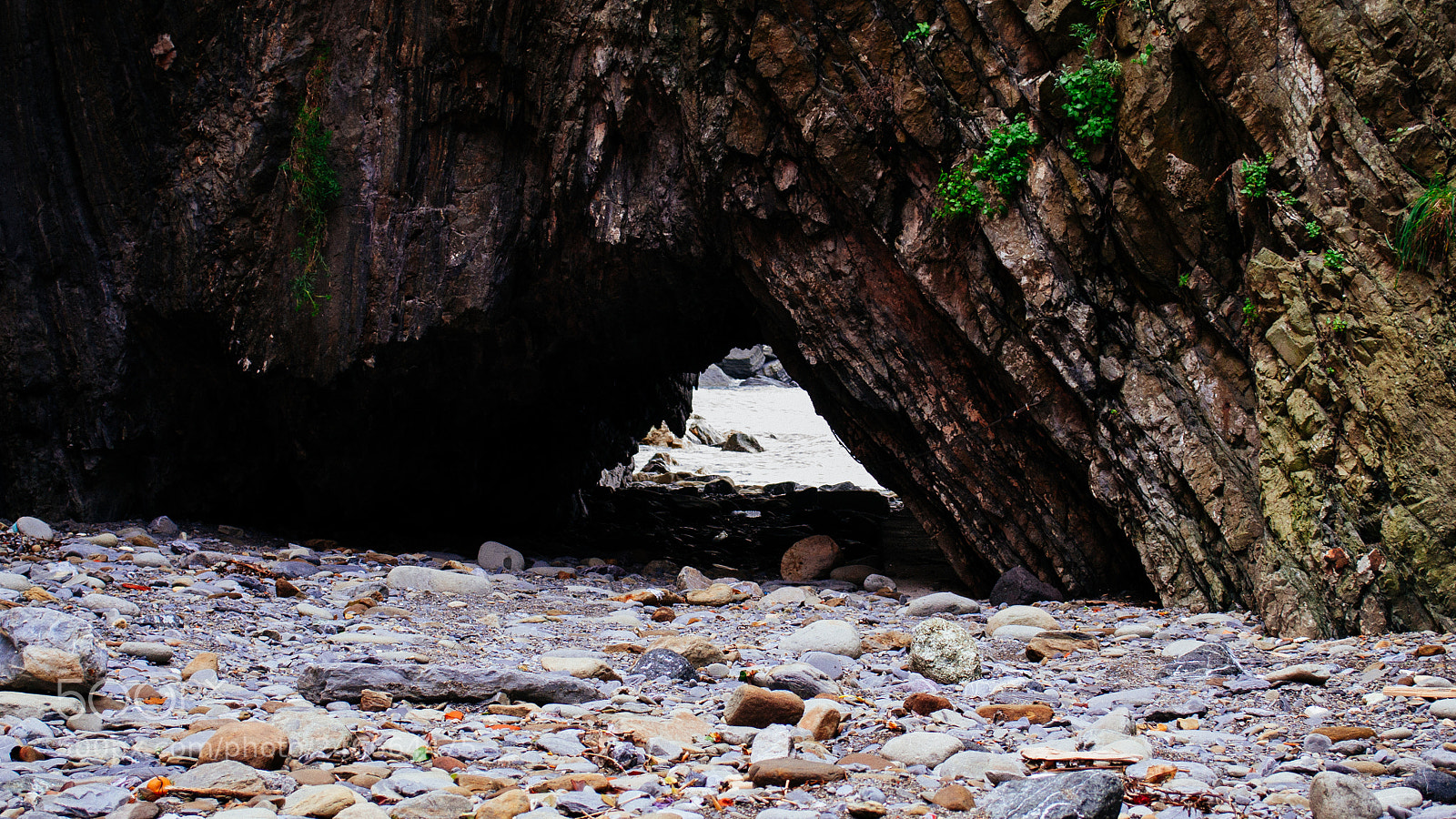 Nikon D3100 sample photo. Untitled photography