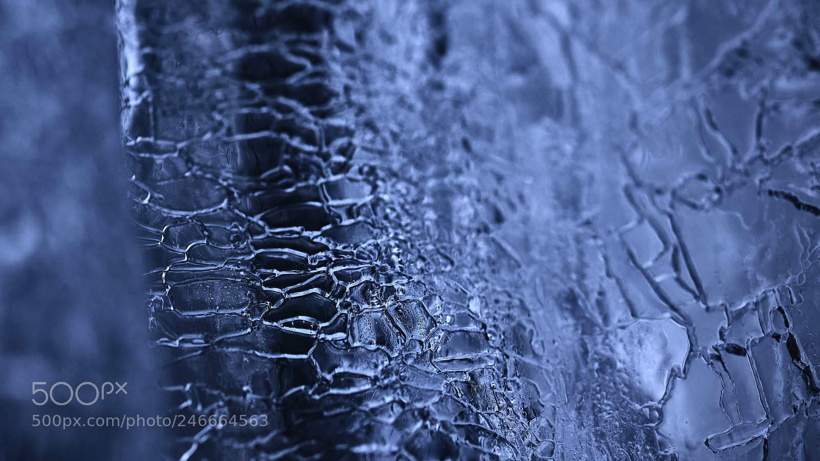 Nikon D800E sample photo. Ice patterns photography
