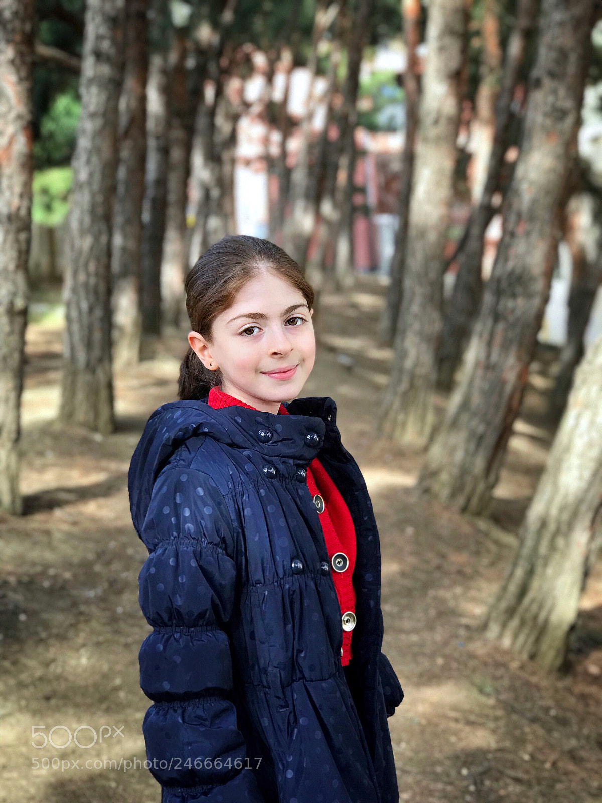 Apple iPhone 7 Plus sample photo. Untitled photography