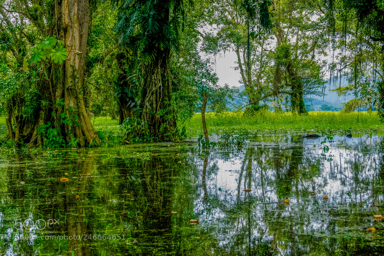 Nikon D7100 sample photo. Lago yojoa photography