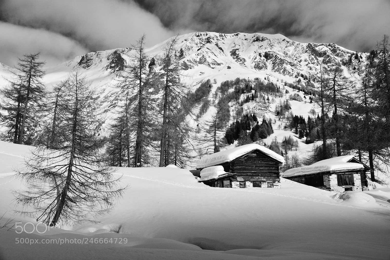 Nikon D7100 sample photo. Ciaspolata in val di photography